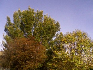 0902100834