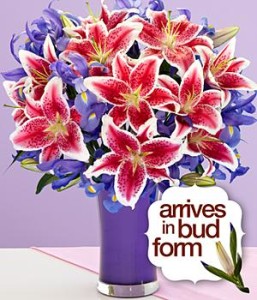 Mother's Day Flowers