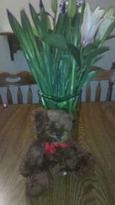 Proflowers