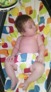 mamaroo