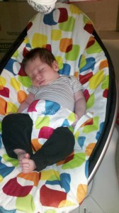 mamaroo