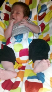 mamaroo