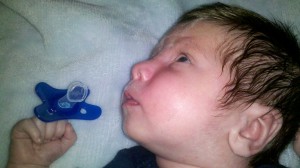 diffrax pacifier