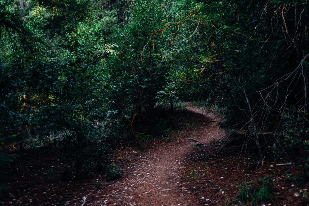 nature walk- changing your mindset