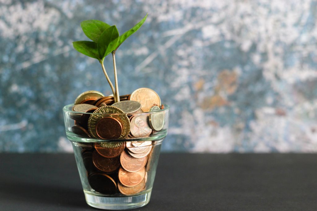 Money Growing plant