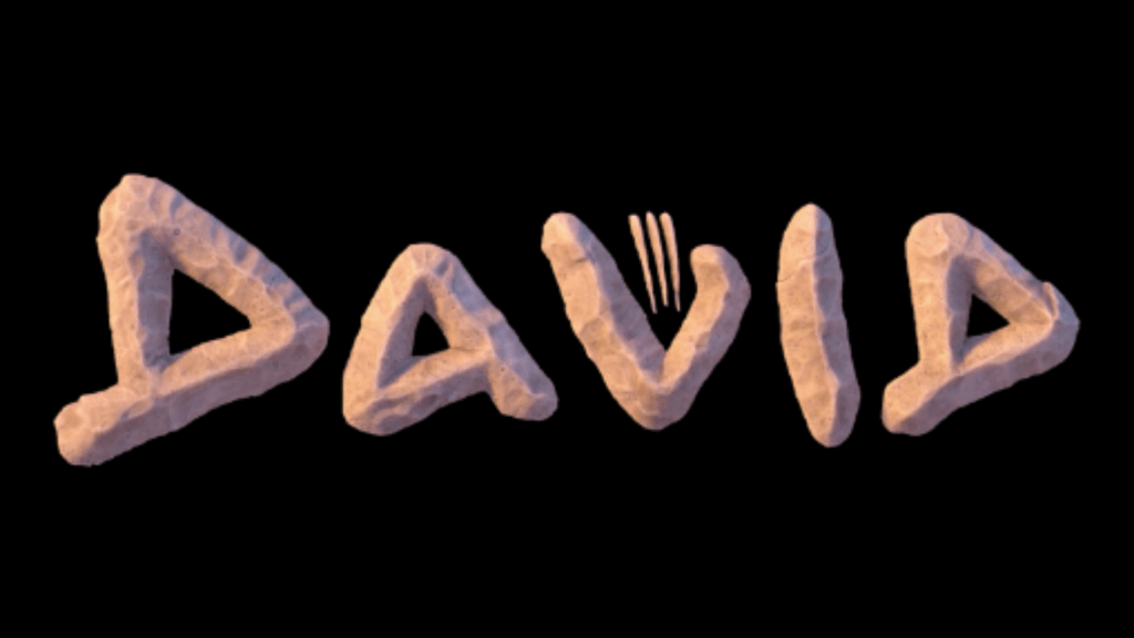 The David Movie
